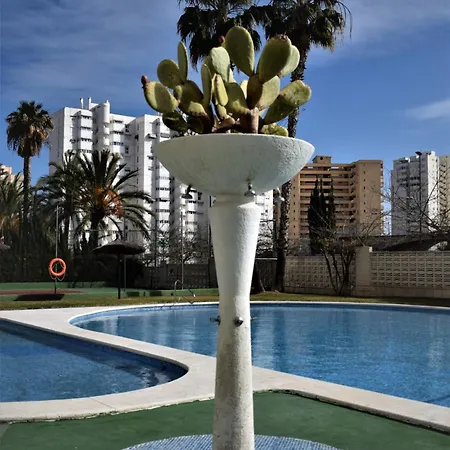 Apartment Faro Blanco Alicante